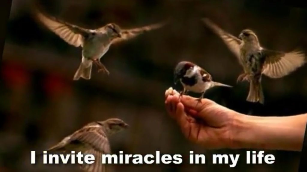 Positive visualization - miracles in my life image